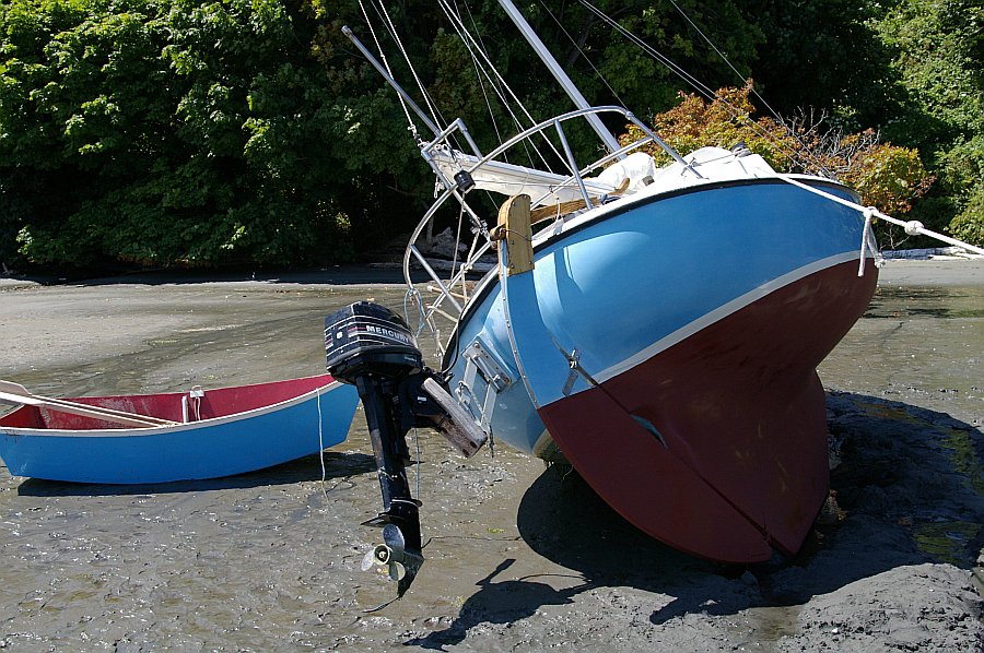 gal/2006-05-05 Careening/IMGP1954.JPG